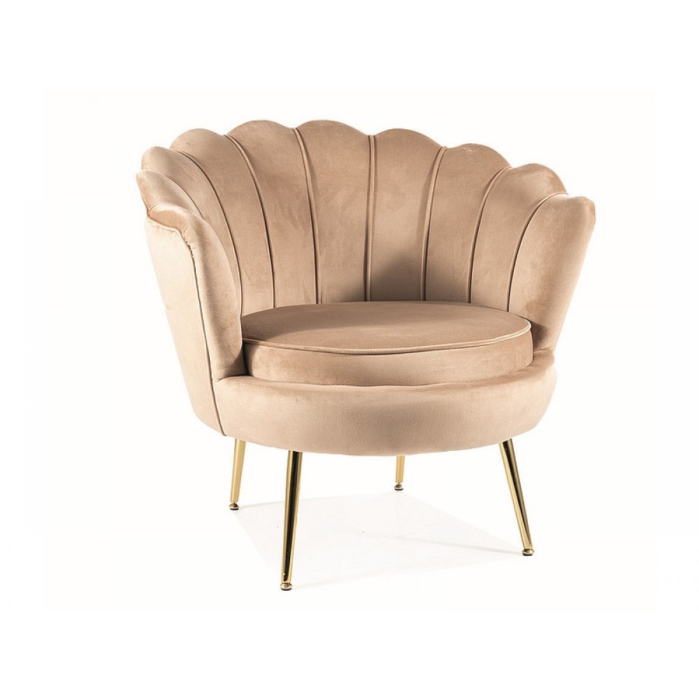 Кресло Camellia 1 Velvet бежевый/золотой Signal