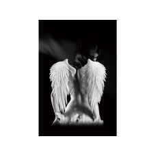 Принт Angel Signal