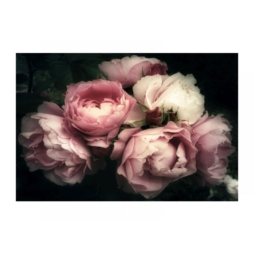 Принт Flowers I Signal